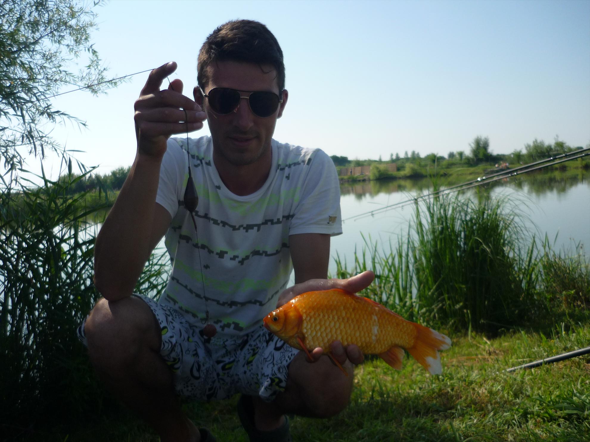 turulung - p1050587.JPG